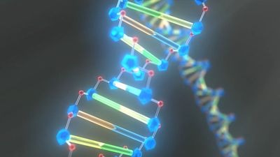 Einblick in Ihre Gene: DNA-Tests in Zürich bei Skin Atelier